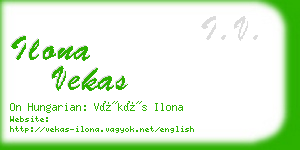 ilona vekas business card